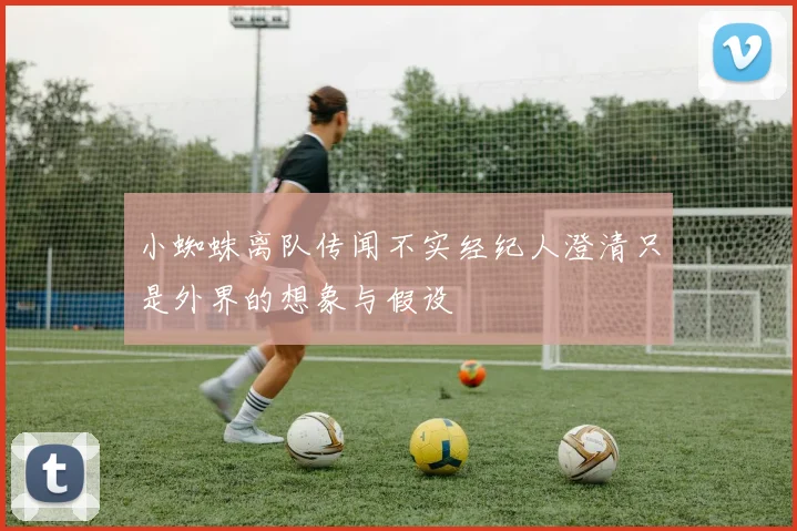 小蜘蛛离队传闻不实经纪人澄清只是外界的想象与假设